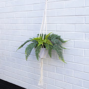 Potted Realistic Artificial Urban Jungle Hanging Fern Plant