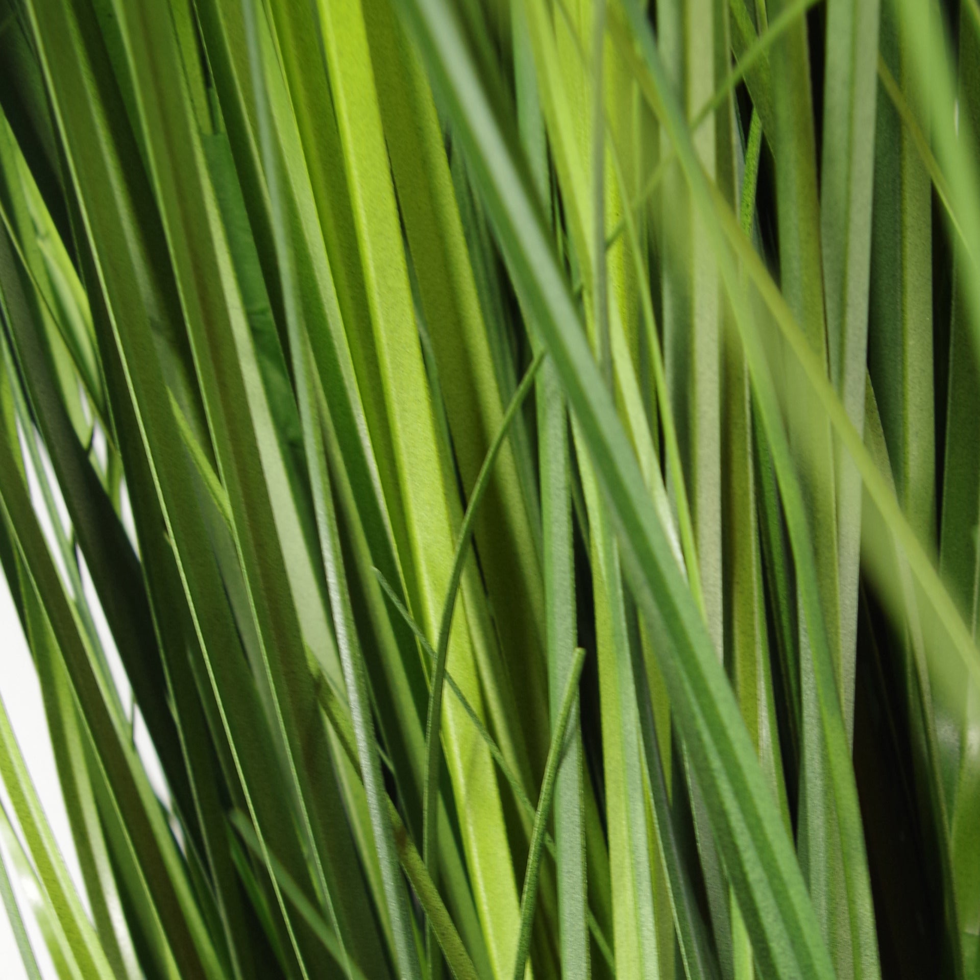 130cm Artificial Onion Grass Plant with Gold Metal Planter