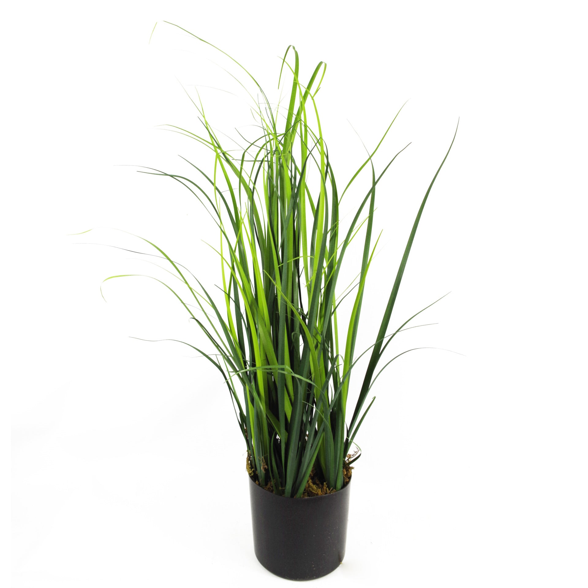 Artificial Grass Plant With Blue Ceramic Planter