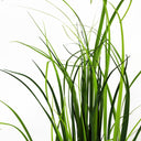 60cm Artificial Lemongrass Grass Plant