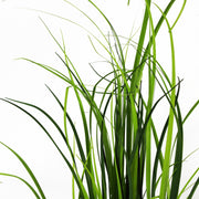 60cm Artificial Lemongrass Grass Plant