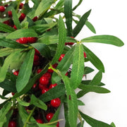 60cm (24) Large Luxury Christmas Mistletoe Leaf and Red Berry Floristry Wreath