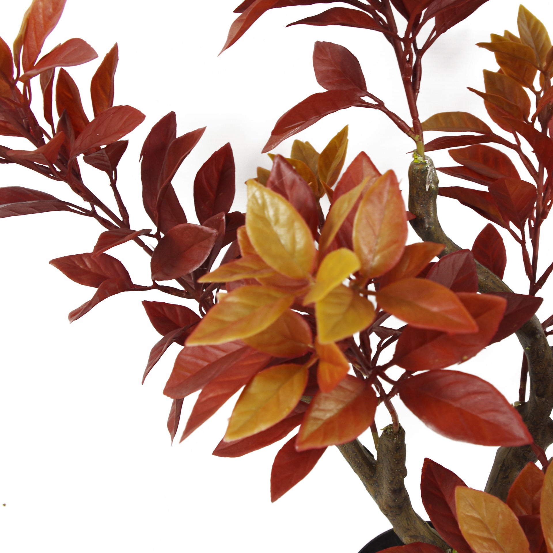 80cm Artificial Orange Fire Autumn Ficus Tree