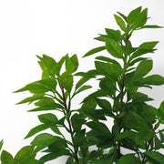 80cm Artificial Green Ficus Tree