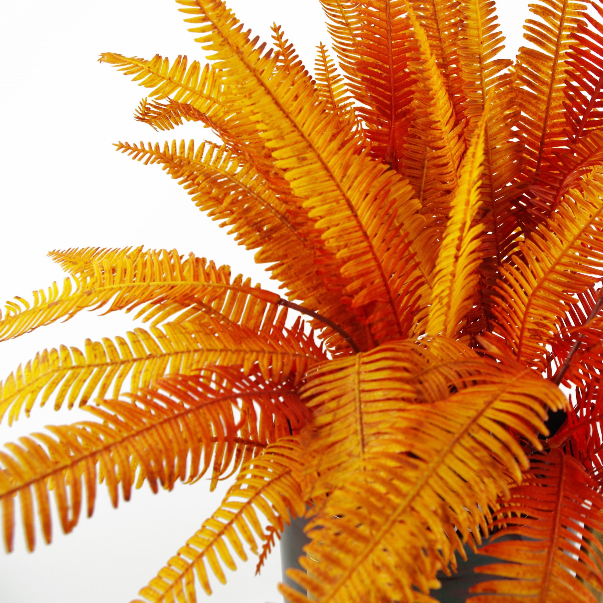6 x 55cm Artificial Autumn Fern Bush Plant