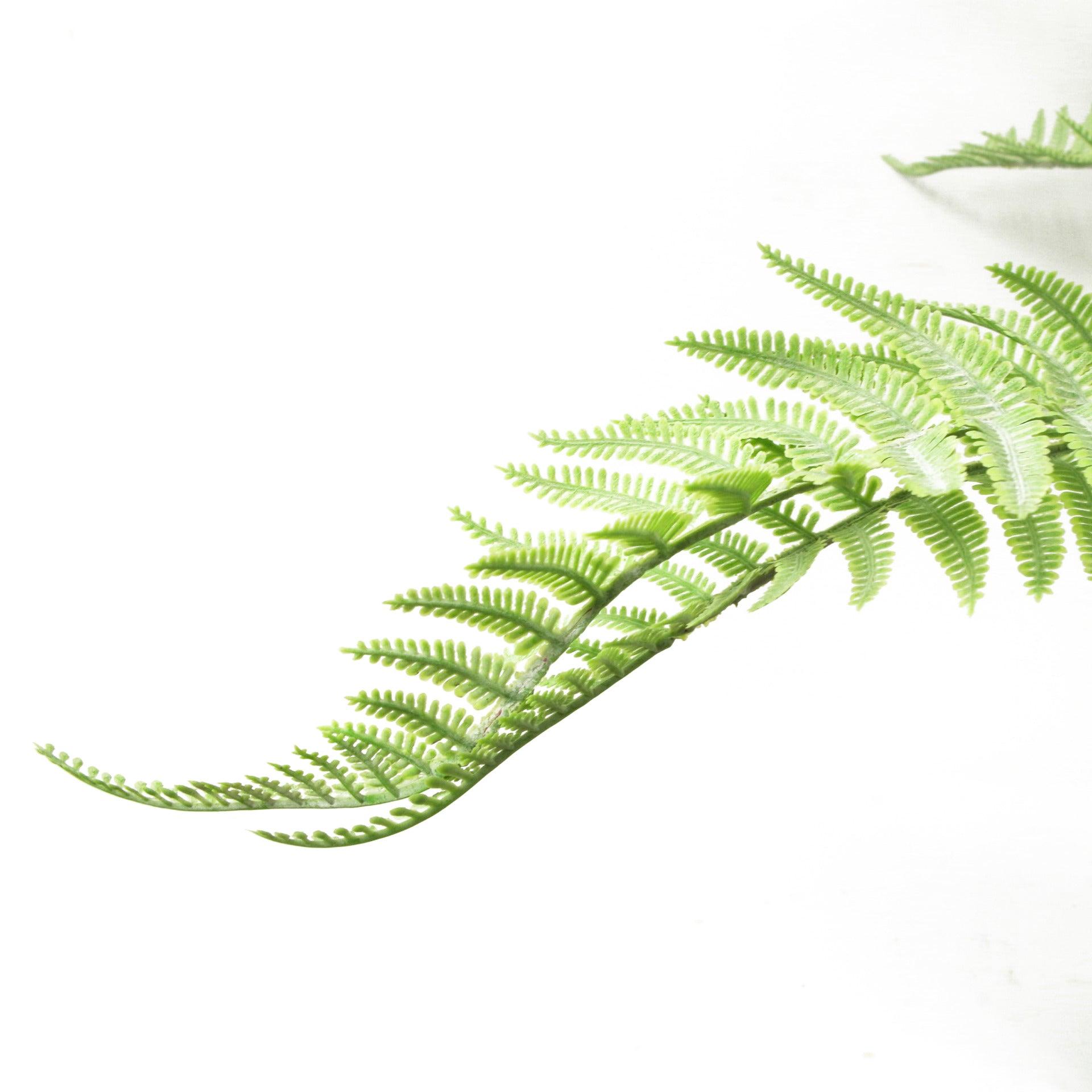 60cm Artificial Bushy Dixie Wood Fern Light Green Plant