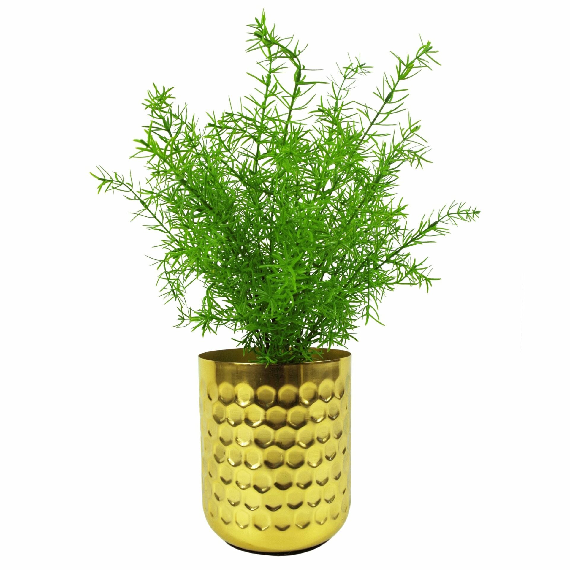 6 x 45cm Artificial Asparagus Fern Plant