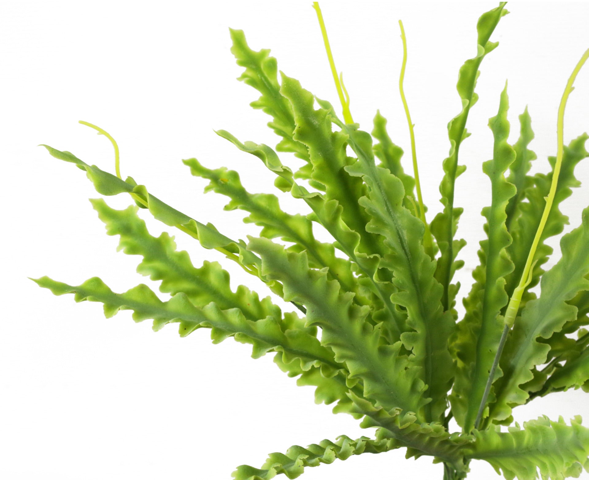 45cm Ceramic Planter With Stand And Artificial Fern Plants