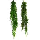 6 x 100cm Hanging String of Pearls Fern Plant Dark Green