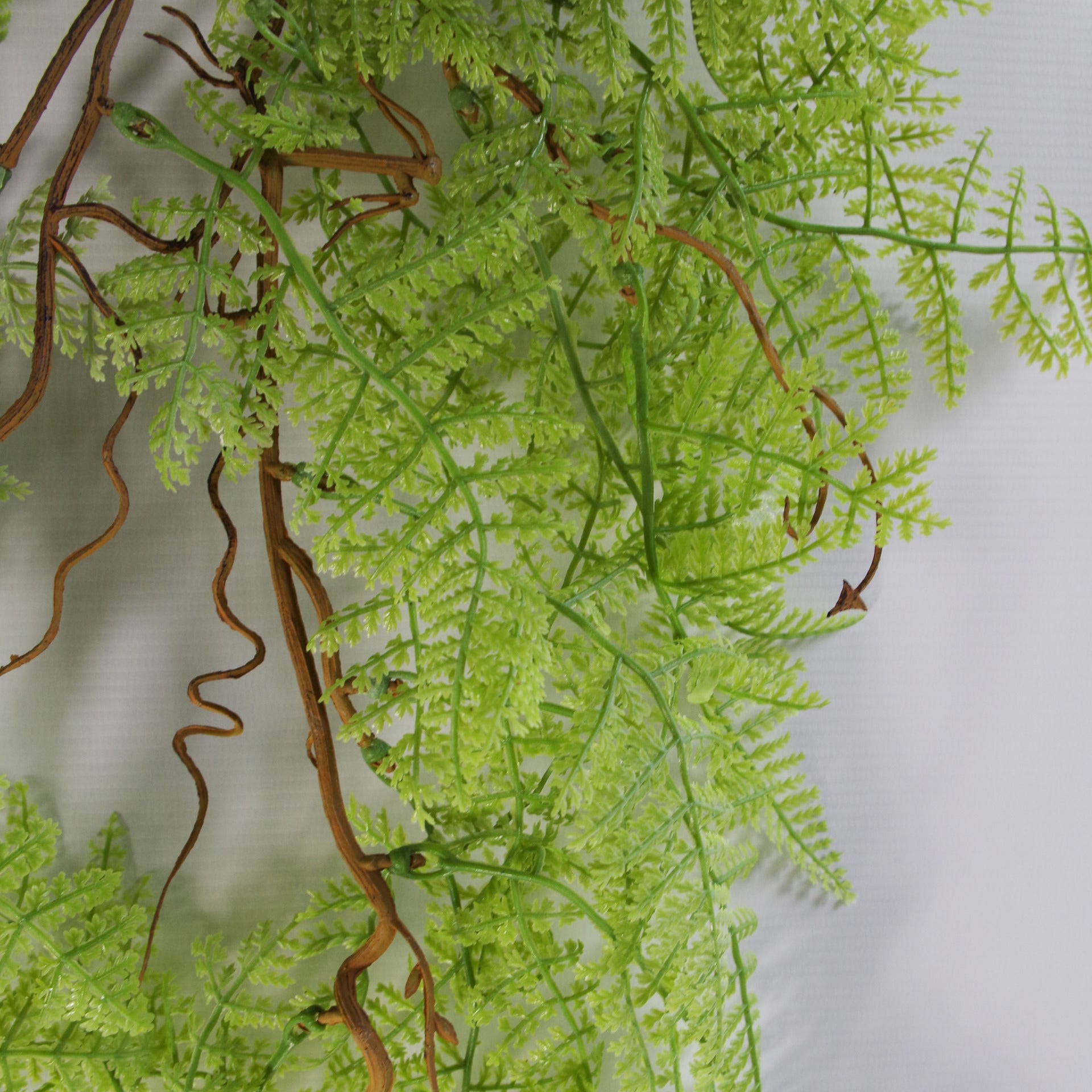 maidenhair fern hanging plant 100cm Artificial Hanging Maidenhair Fern Plant Light Green – Woven Wood