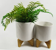 White Ribbed Ceramic Plant Pot with Bamboo Stand 16.5 x 16.5 x 21cm