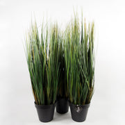 60cm Artificial Potted Grass Plant