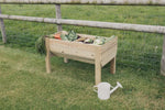 Raised Veg Trug / Planter