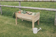 Raised Veg Trug / Planter