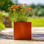 Orange flowers in a Corten planter on a wooden surface with a blurred natural background