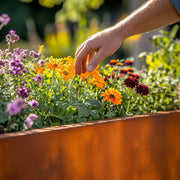 Hand reaching towards flowers in a garden with a rusty planter