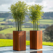 Two tall square Corten planters with green plants on a patio with a scenic background.