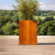 Corten steel planter with bamboo on a wooden deck overlooking a scenic landscape