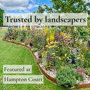 Lawn Edging Hampton Court
