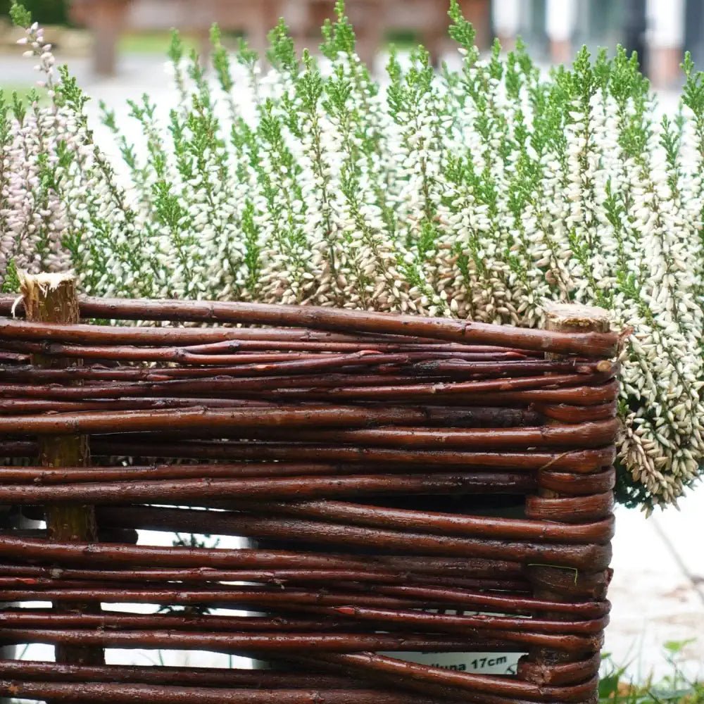 Willow Edging handwoven edging woven wood