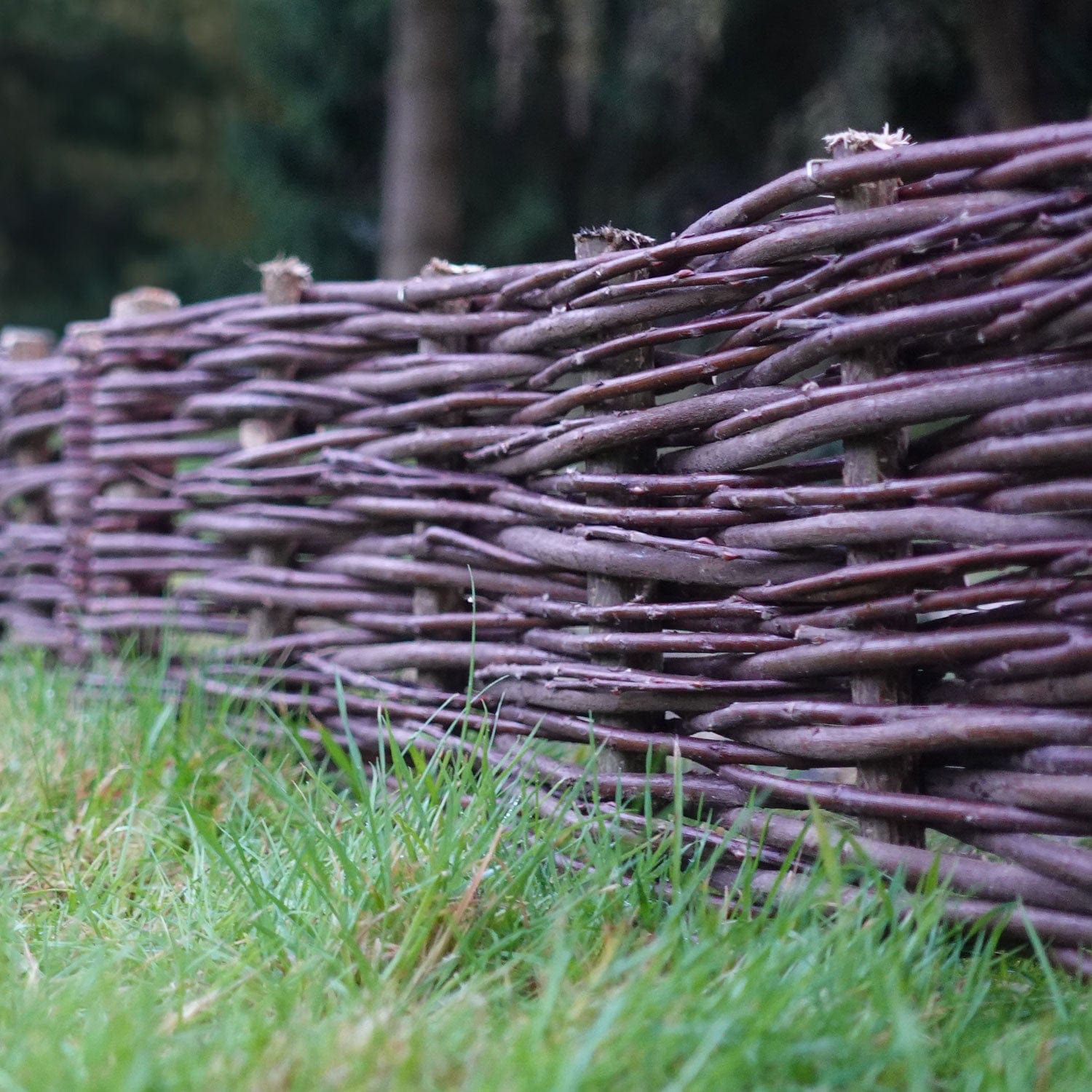 2m Willow Lawn Edging 20cm Height Woven Wood