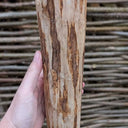 Rustic Chestnut Fence Posts for Hazel Hurdles