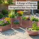 80cm Long Zinc Galvanised Brushed Rose Gold Finish 60cm Tall Trough Planter