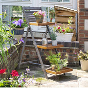 Alderley Hardwood Plant Ladder Large