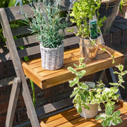 Alderley Hardwood Plant Ladder Small