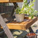 Alderley Hardwood Plant Ladder Small