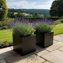 30cm Zinc Galvanised Matte Black Square Planter