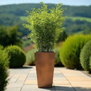 70cm Zinc Galvanised Copper Tapered Square Planter