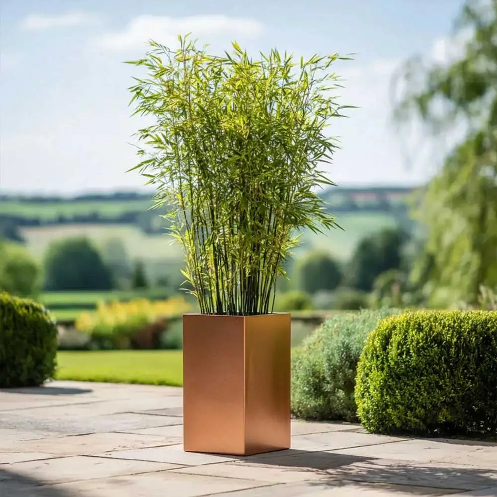 tall plant pots outdoor uk 50cm Zinc Galvanised Copper Tall Square Planter – Woven Wood