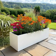 Zinc Galvanised Matte White Trough Planter