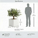 60cm Zinc Galvanised Matte White Square Planter