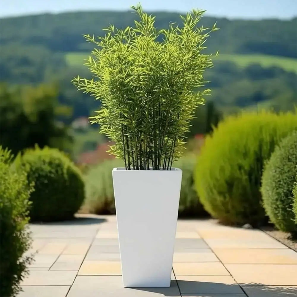 white square pot plant 70cm Zinc Galvanised Matte White Tall Tapered Square Planter – Woven Wood