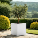 50cm Zinc Galvanised Matte White Square Planter