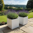 60cm Zinc Galvanised Matte White Square Planter