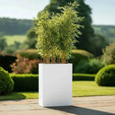 75cm Long Zinc Galvanised Matte White 90cm Tall Trough Planter