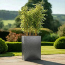 75cm Long Zinc Galvanised Silver & Black Textured 90cm Tall Trough Planter
