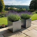 30cm Zinc Galvanised Silver & Black Square Planter