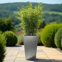 90cm Zinc Galvanised Silver & Black Textured Tall Tapered Square Planter