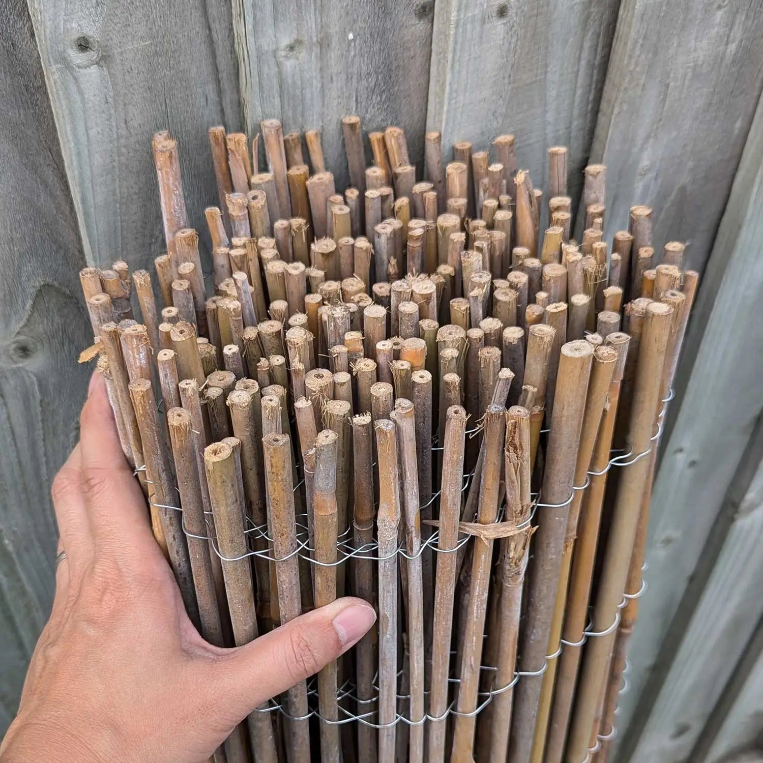 bamboo cane screening rolled up