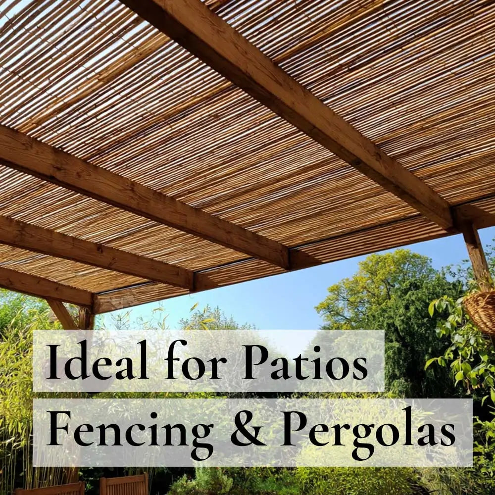 Premium Bamboo Cane Fencing Screening Rolls