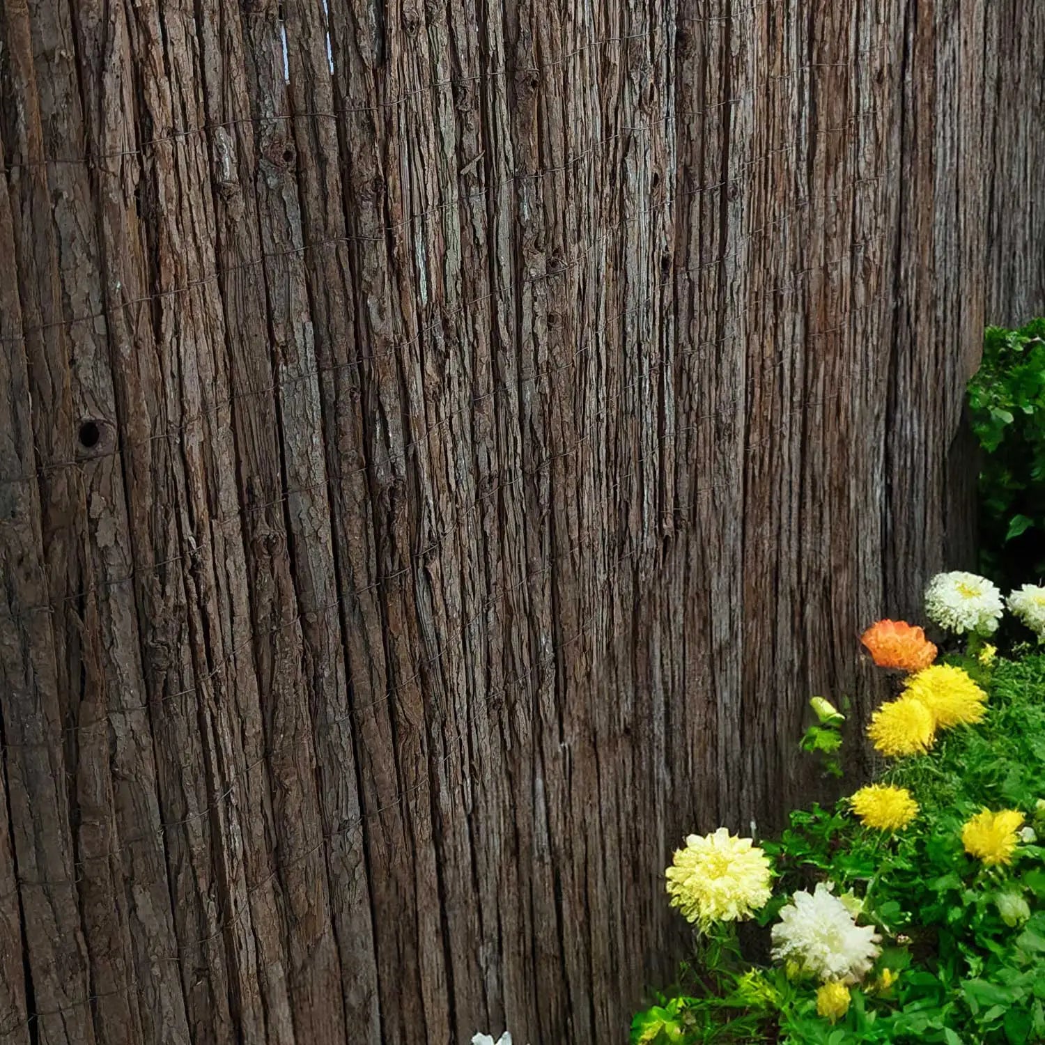Bark Block Screen Garden Screening: Natural Willow, Bamboo and Bark Screens β Woven Wood