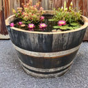 #Silver #with Lily #with Deep Water Plant #No Fountain #2.5W Floating Fountain #5W Fountain #2.5W Floating Pink Lily Fountain #2.5W Floating Ivory Lily Fountain   #9W Floating Fountain #20W Fountain