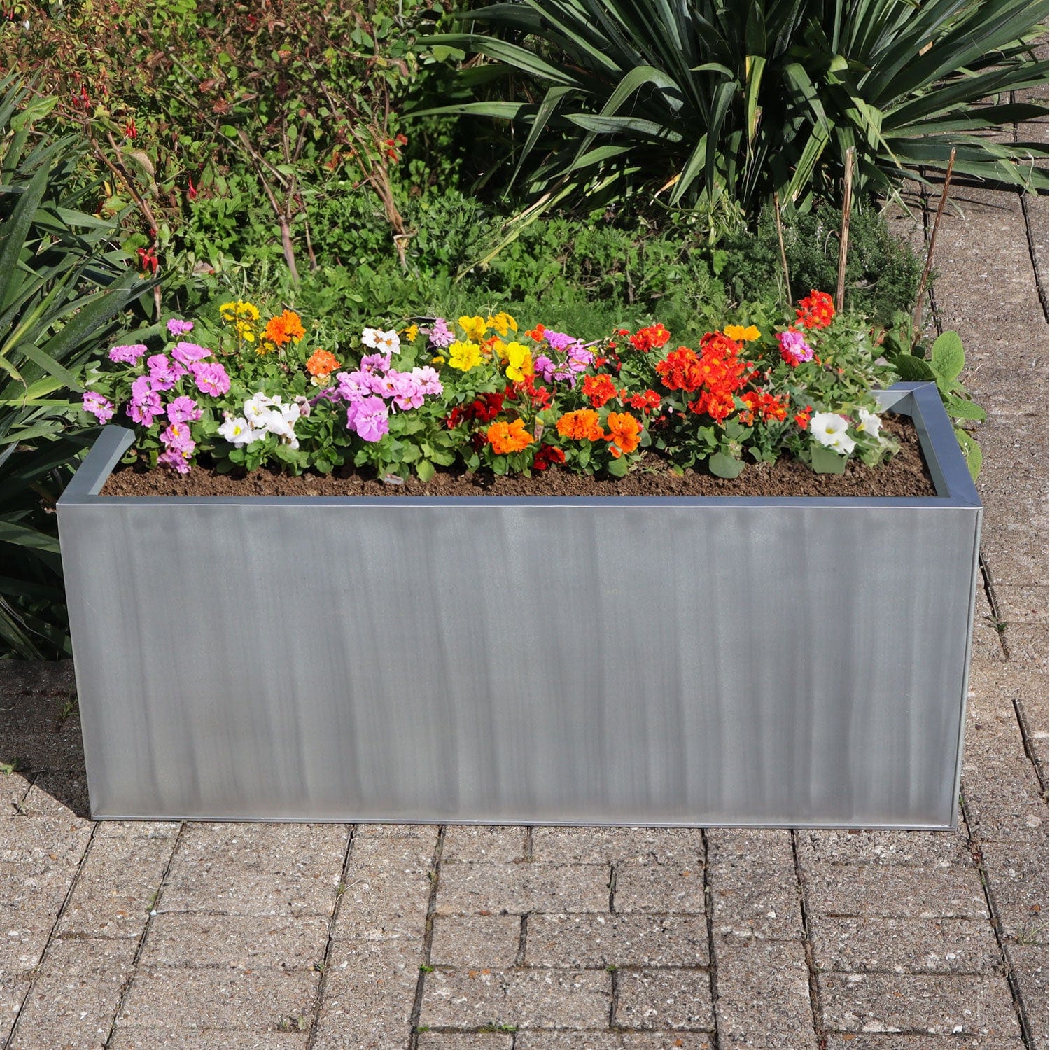 Premium Brushed SIlver Woven Wood Planters