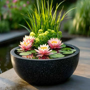 Zinc Galvanised Round Bowl Planter