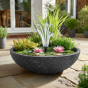 Wildlife Pond In A Pot | Complete Kit with Bowl, Plants & Fountain
