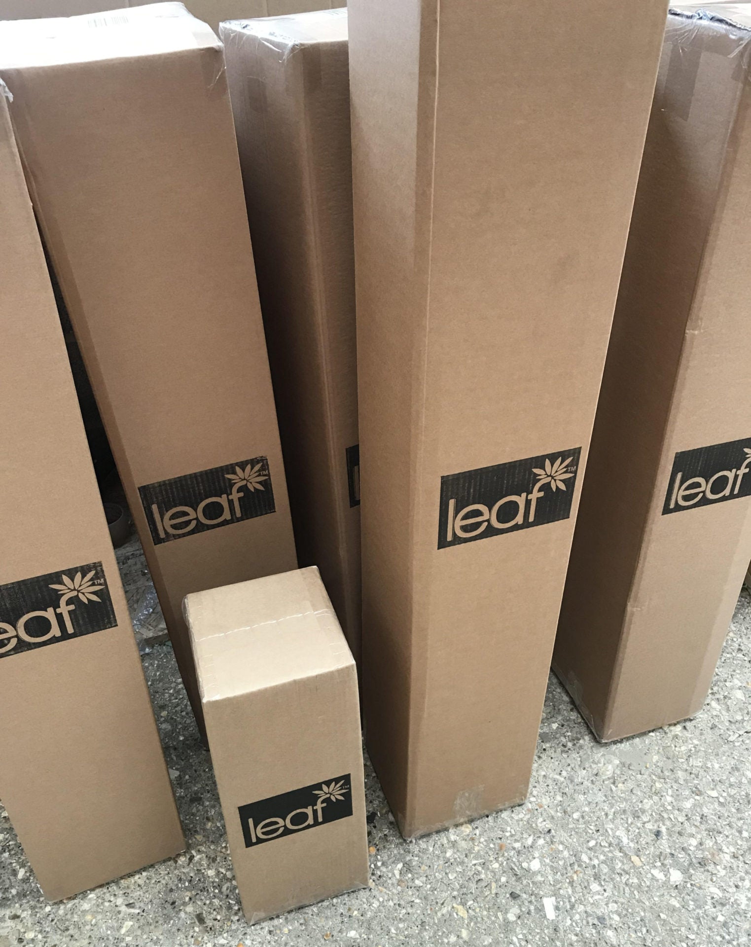 Leaf Long Cardboard Box - 19cm x 19cm x 120cm